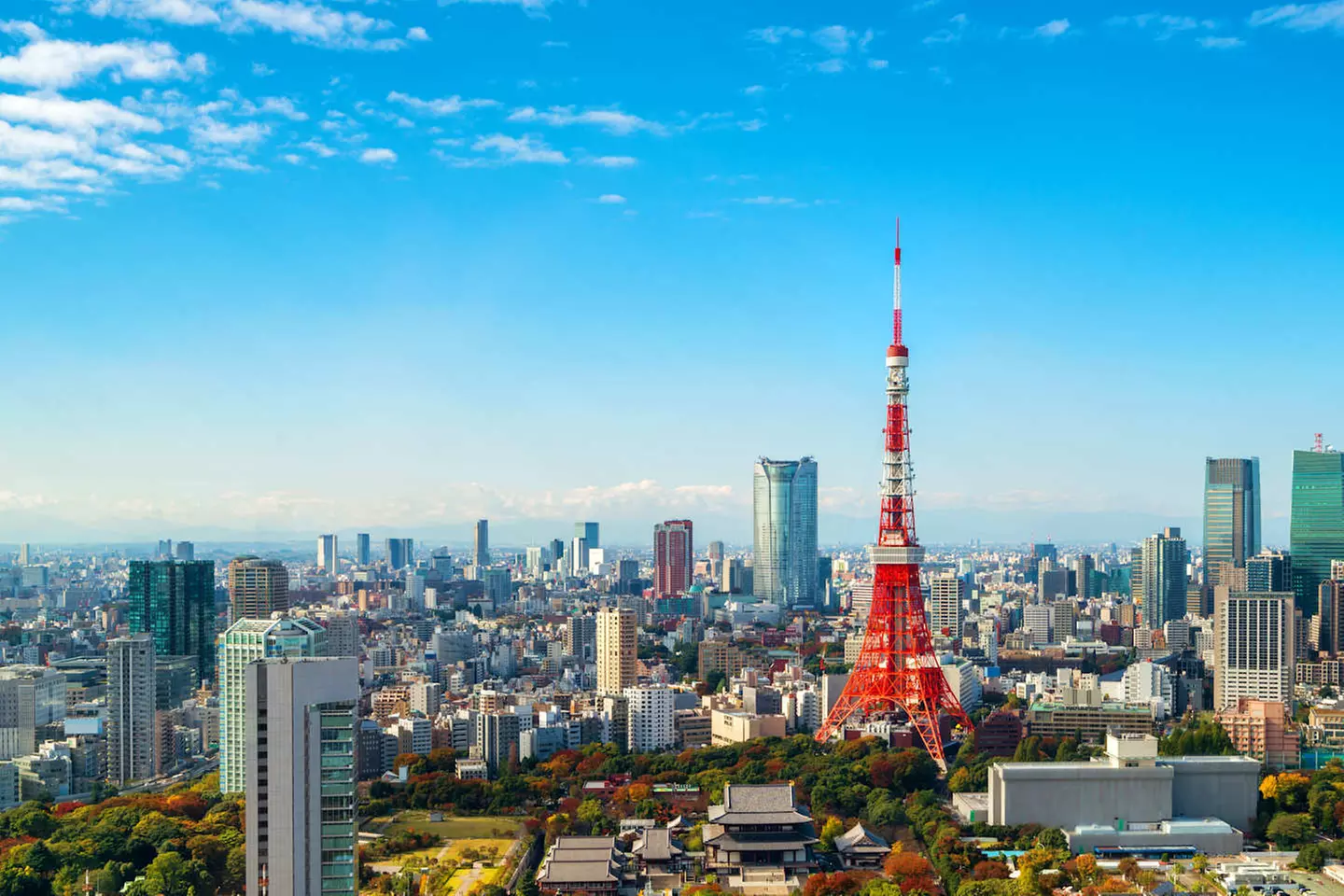 ✈ GIAPPONE | Da Osaka a Tokyo - L'odissea giapponese: grande viaggi...