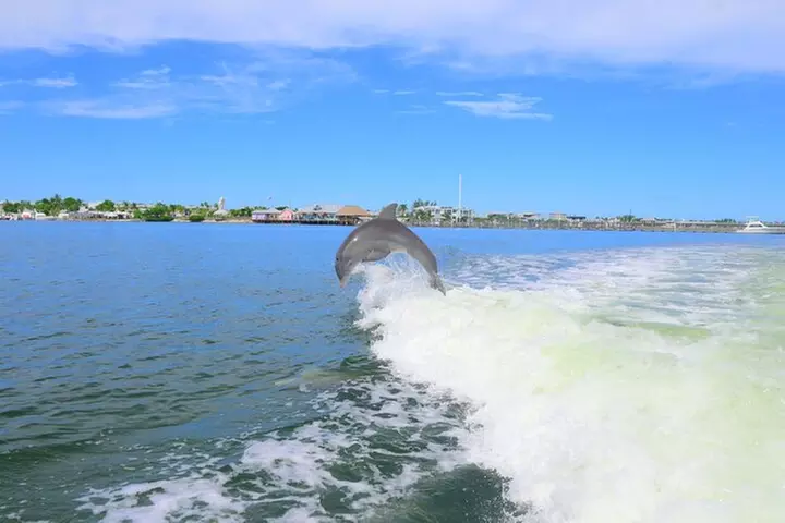 Private Egmont Key Excursion