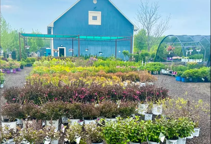 $20 For $40 Toward Plants, Shrubs & More