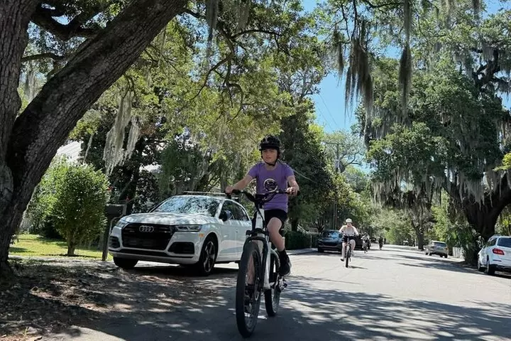 Charleston Harbor & Wildlife E‑Bike Tour– A Scenic Coastal Escape