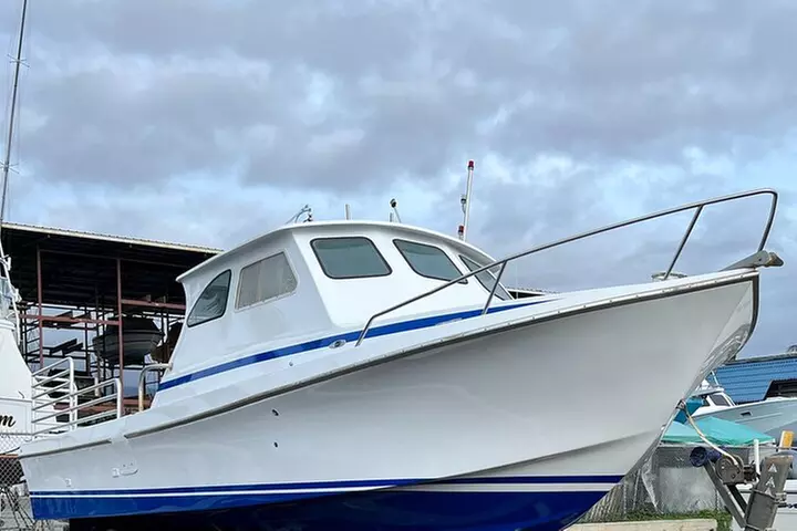 Private Charter Morning Snorkel and Wildlife Watch. Up to 18 Pax