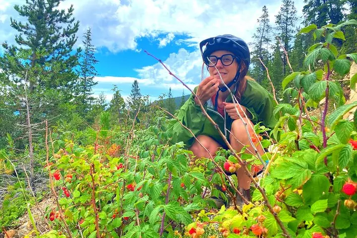 Golden to Red Rocks Electronic Bike Tour