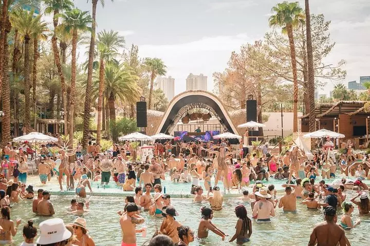Las Vegas: VIP Pool Crawl with Party Bus, Express Entry & Drinks