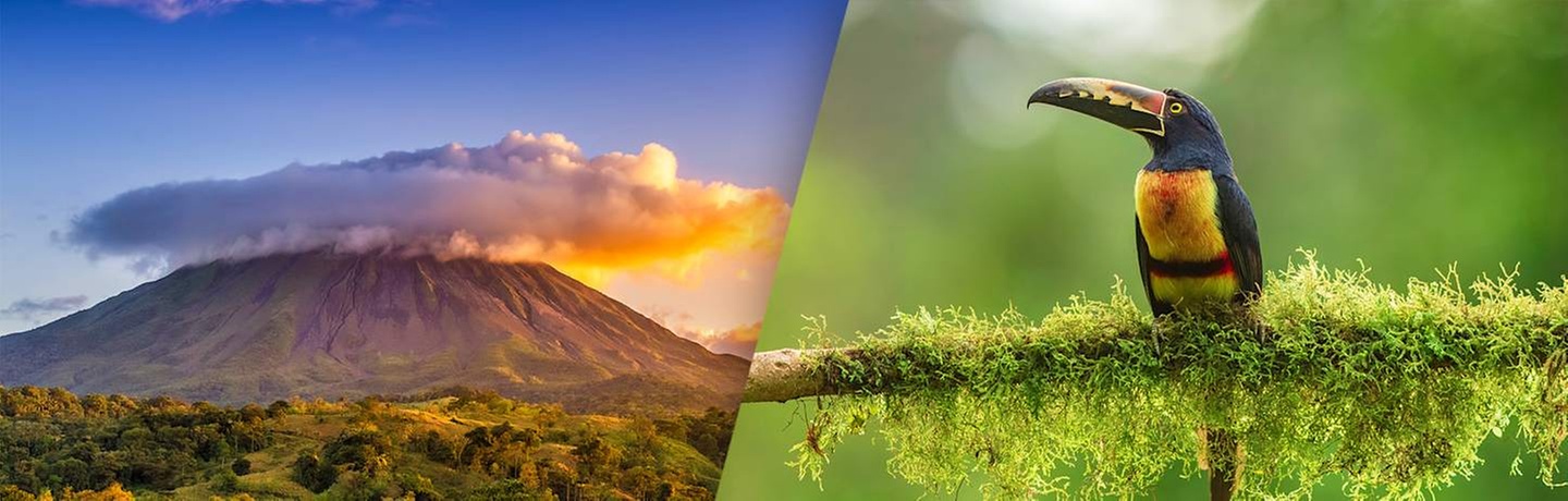 ✈ COSTA RICA | San José - Grüne Auszeit in Costa Rica, 11 Nächte - ...