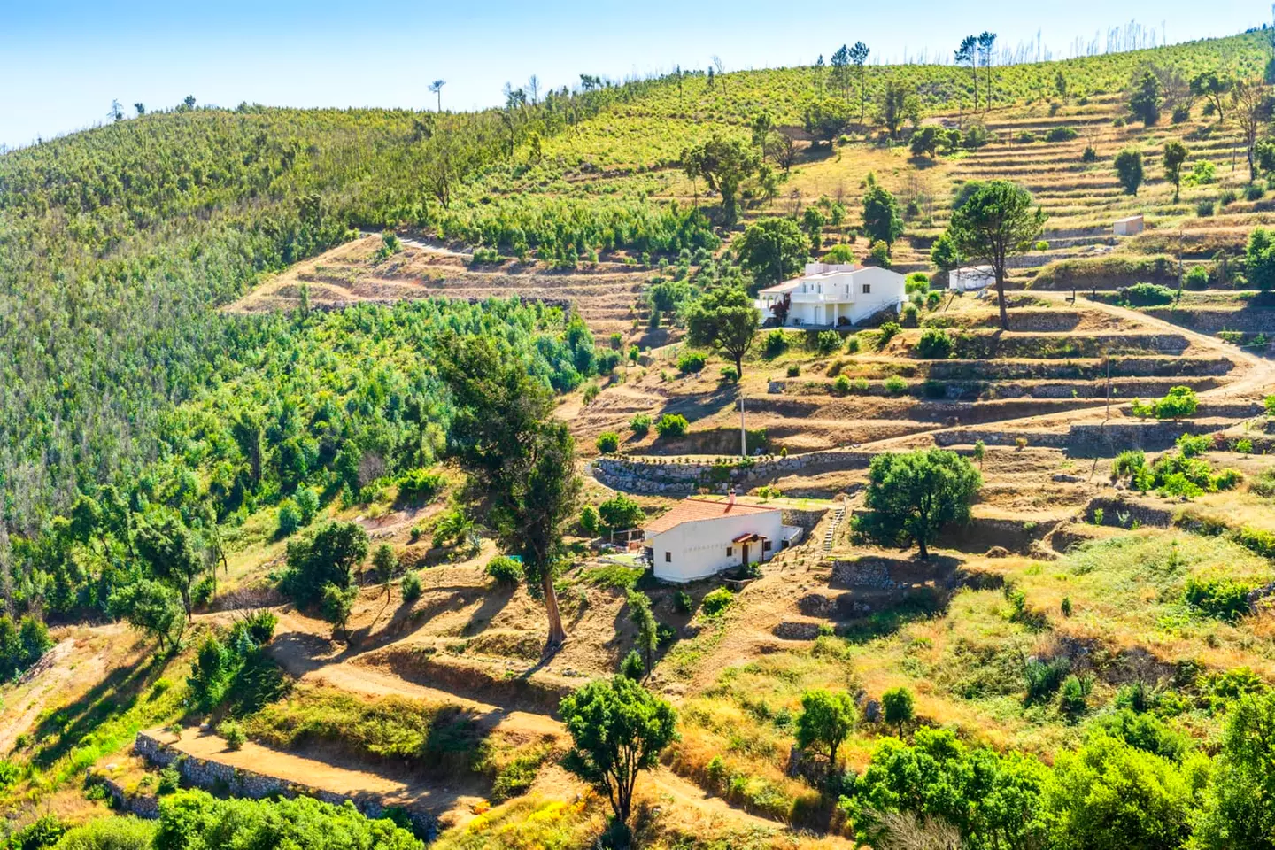 ✈ ALGARVE | Faro - Sud del Portogallo on the road 3*, 7 notti - Via...