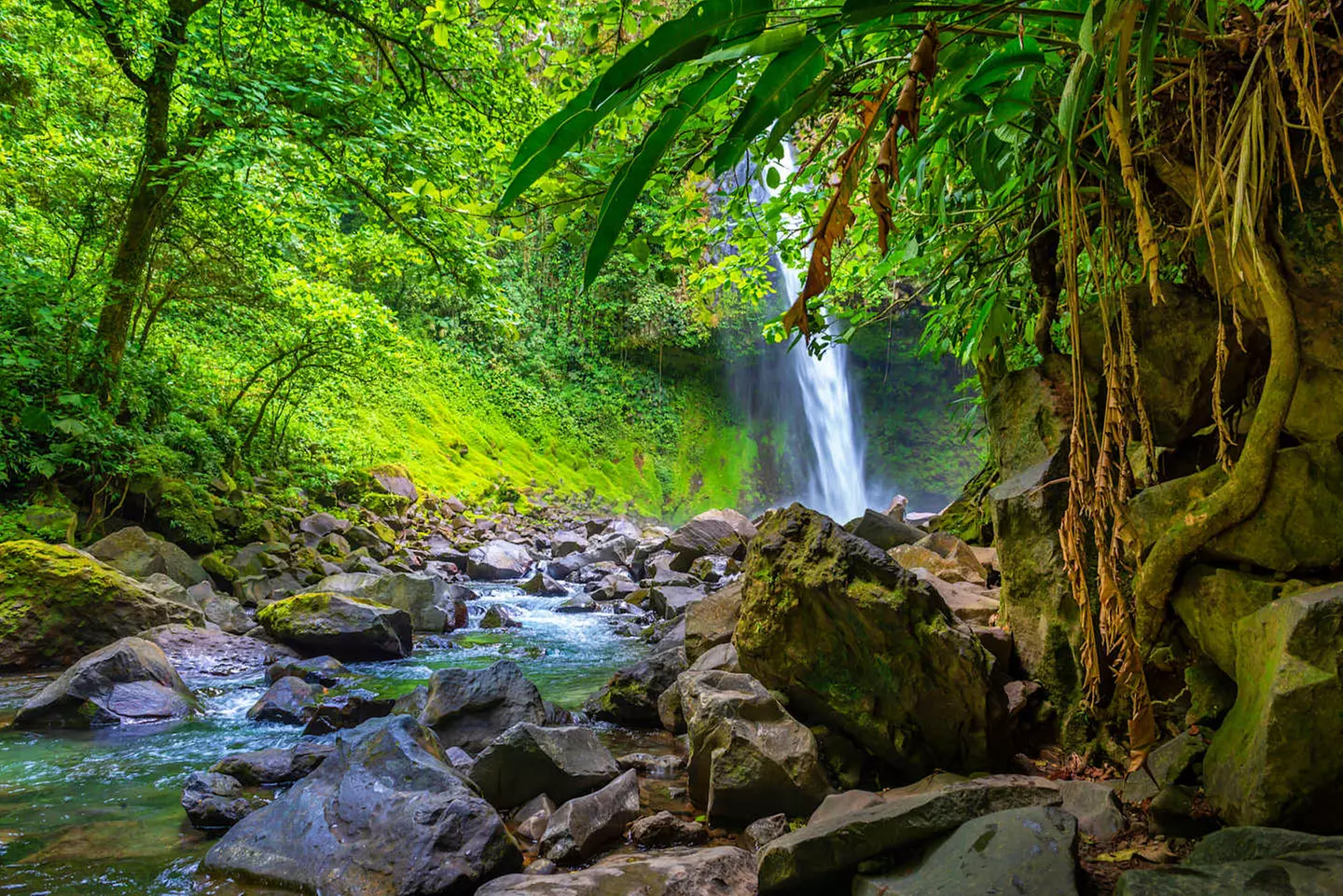 ✈ COSTA RICA | San José - L'Essenza del Costa Rica 4*, 9 notti - Vi...