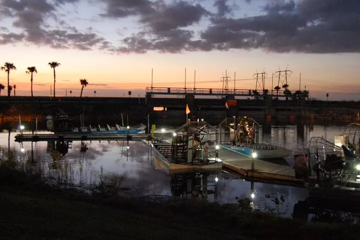 From Miami: Everglades at Night with Airboat and Alligators Tour