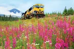 Alaska Railroad Anchorage to Seward Round Trip Same Day Return