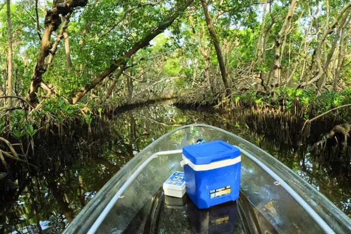 2 Hour Clear Kayak Tour at Emerson Point Preserve