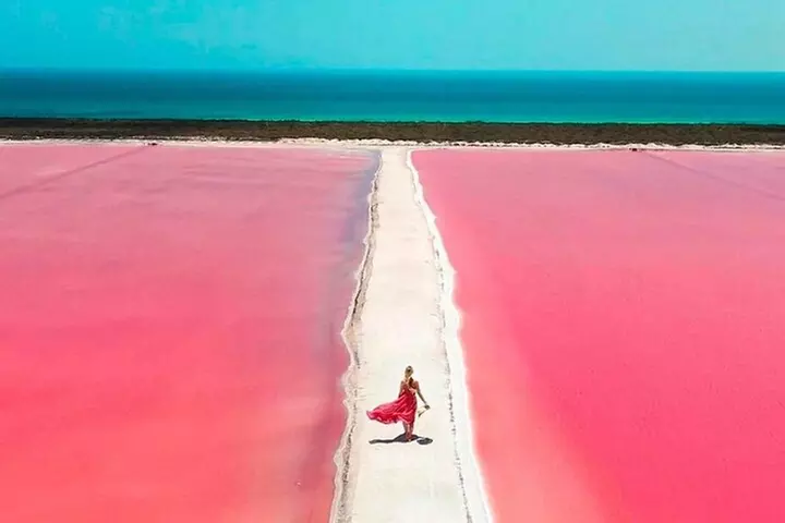 Rio Lagartos and Las Coloradas Day Tour from Cancun