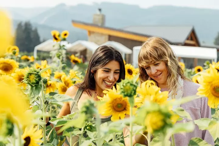Columbia Valley and Columbia Gorge Wine Tasting
