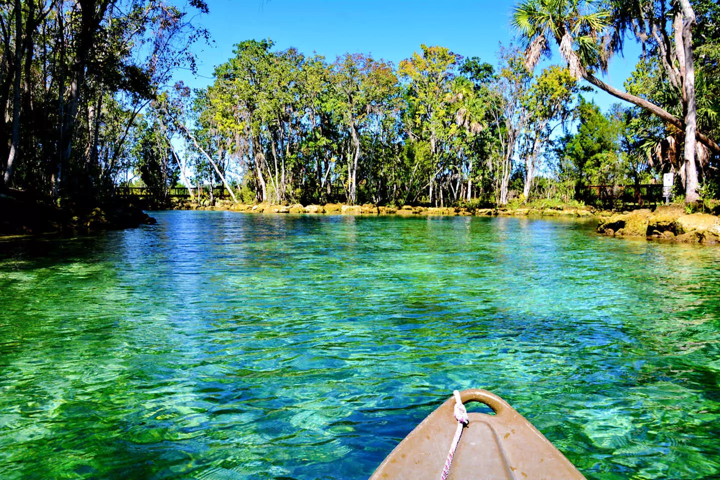 ✈ FLORIDA | Da Miami a Orlando - Il meglio della Florida on the roa...