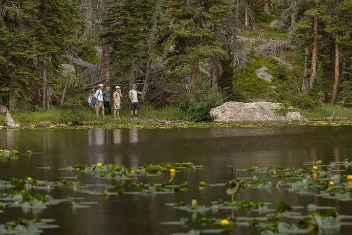 Private Hike Emerald Lake In Rocky Mountain National Park