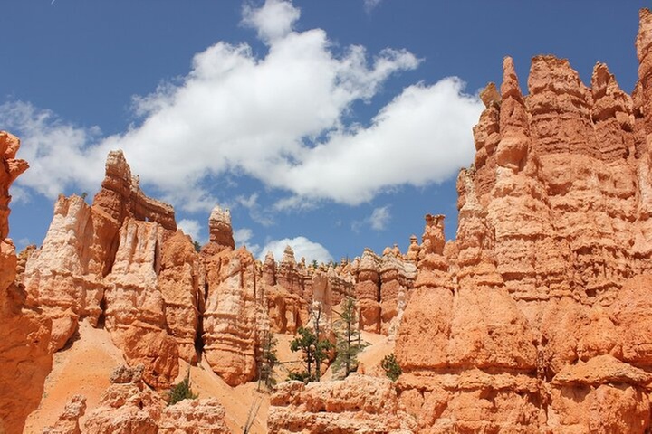 Las Vegas and National Parks 6 Day Tour from San Francisco