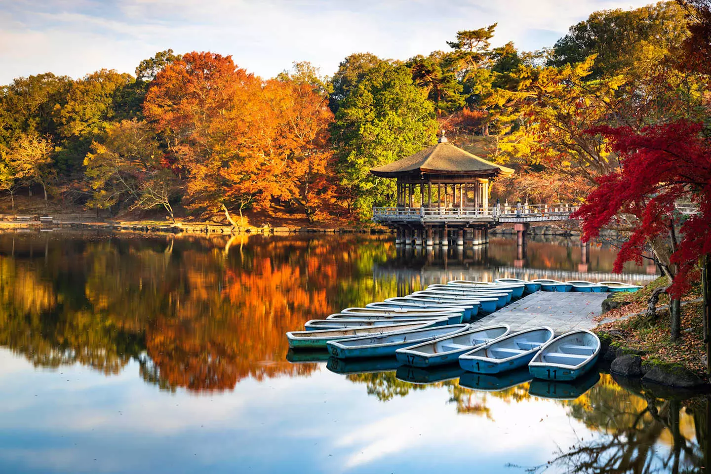 ✈ SINGAPORE E GIAPPONE | Da Singapore a Osaka - Scopri Singapore e ...