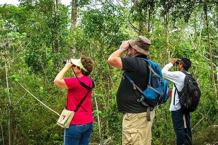 Private Tour: Birdwatching from Cancun