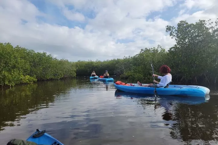 New Smyrna Dolphin and Manatee Kayak and SUP Adventure Tour