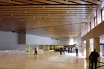 Visita Privada al Museo del Prado en Madrid