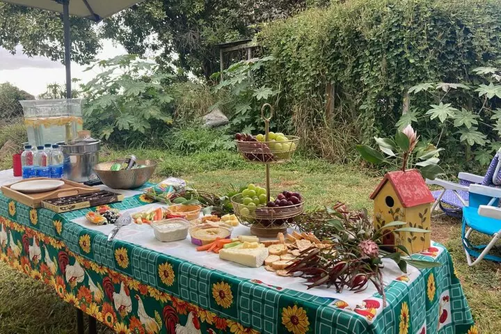 Maui Birdwatching at Maui Bird House