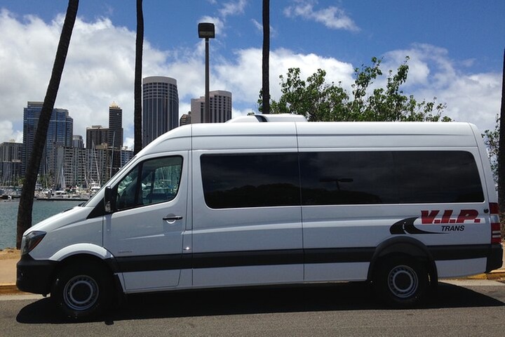 Arrival Transfer: Airport Shuttle Honolulu and Waikiki or Cruise Te...