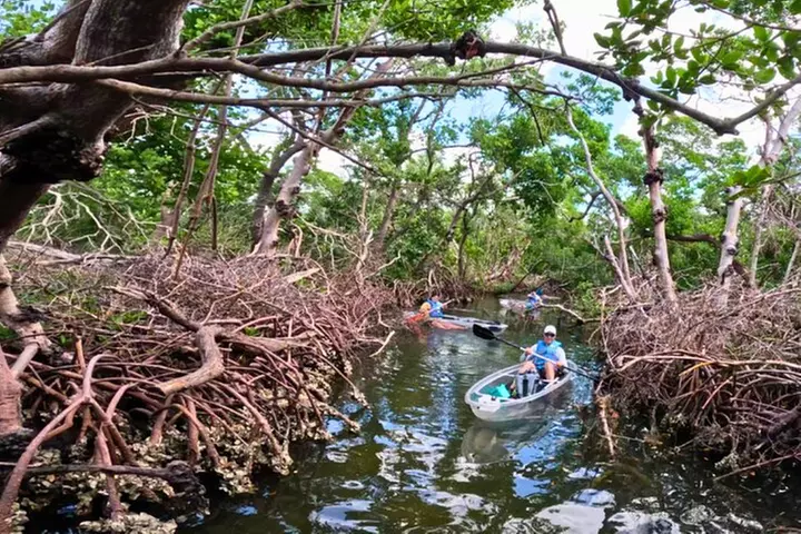 2 Hour Clear Kayak Tour at Emerson Point Preserve