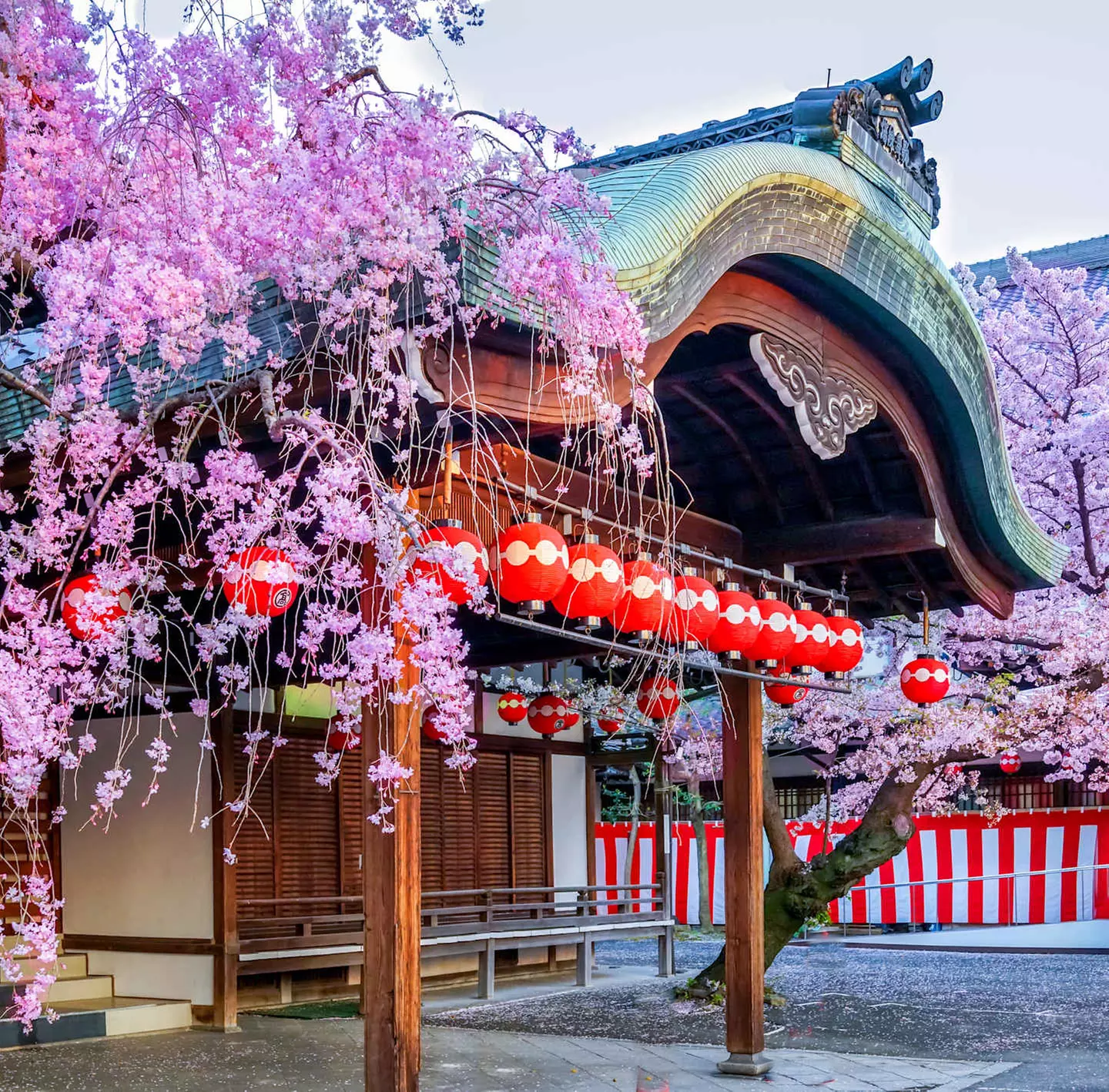 ✈ JAPAN | Von Tokio nach Osaka - Universal Studio: Sensationelles J...