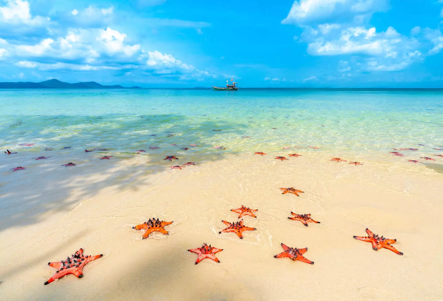 ✈ VIETNAM | Von Ho Chi Minh nach Hanoi - Südvietnam und paradiesisc...