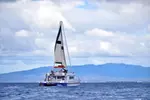 2 Hour Waikiki Whale Watching Cruise from Oahu