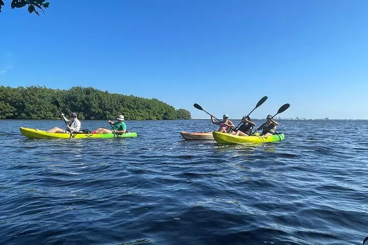 Kayak Adventure at Shell Key Preserve in Tierra Verde