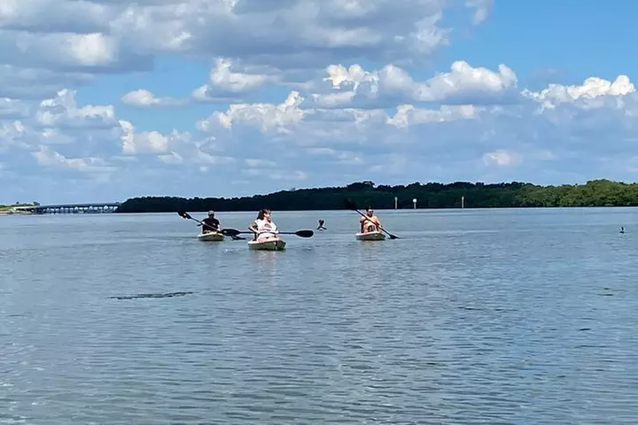 Kayak Adventure at Shell Key Preserve in Tierra Verde