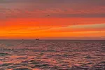 Sunset Manta Ray Tour in Kailua-Kona