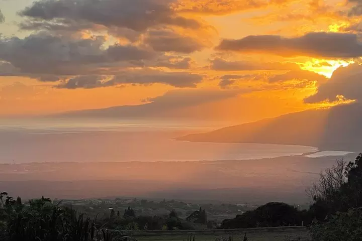 Maui Birdwatching at Maui Bird House