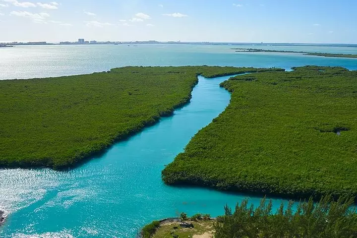 Jungle Tour . Lagoon, Mangrooves & Snorkel for Couples
