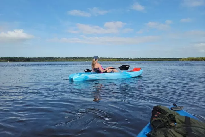 New Smyrna Dolphin and Manatee Kayak and SUP Adventure Tour