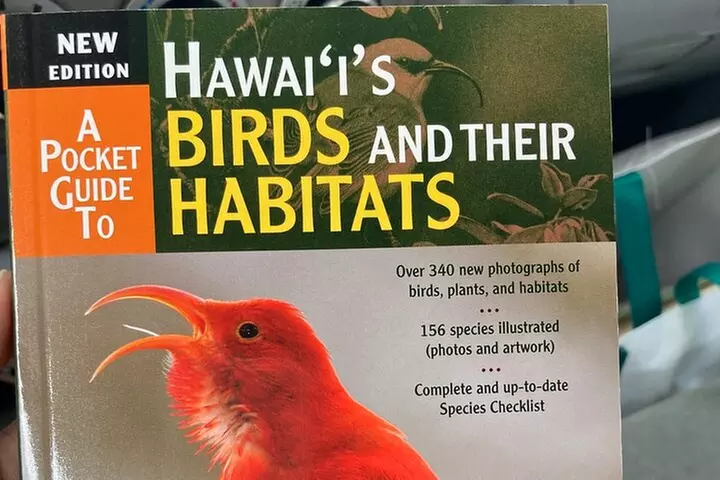 Maui Birdwatching at Maui Bird House