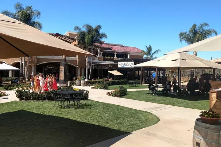 Temecula Valley Wineries and Vineyards Drink and Taste Tour From Or...