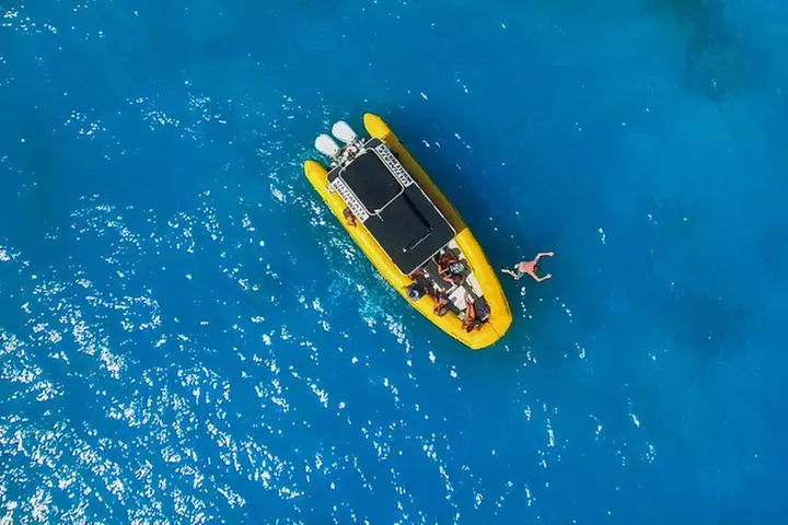 Lanai Deluxe Dolphin Adventure & 3 Snorkel Sites