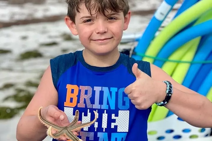 4 Hour Egmont Key Island Tour With Dolphins & Snorkeling Included