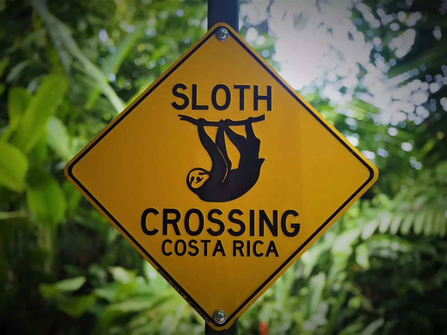 ✈ COSTA RICA | Da San José a Manuel Antonio - Autotour alla scopert...