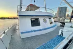 2 Hour Waikiki Whale Watching Cruise from Oahu