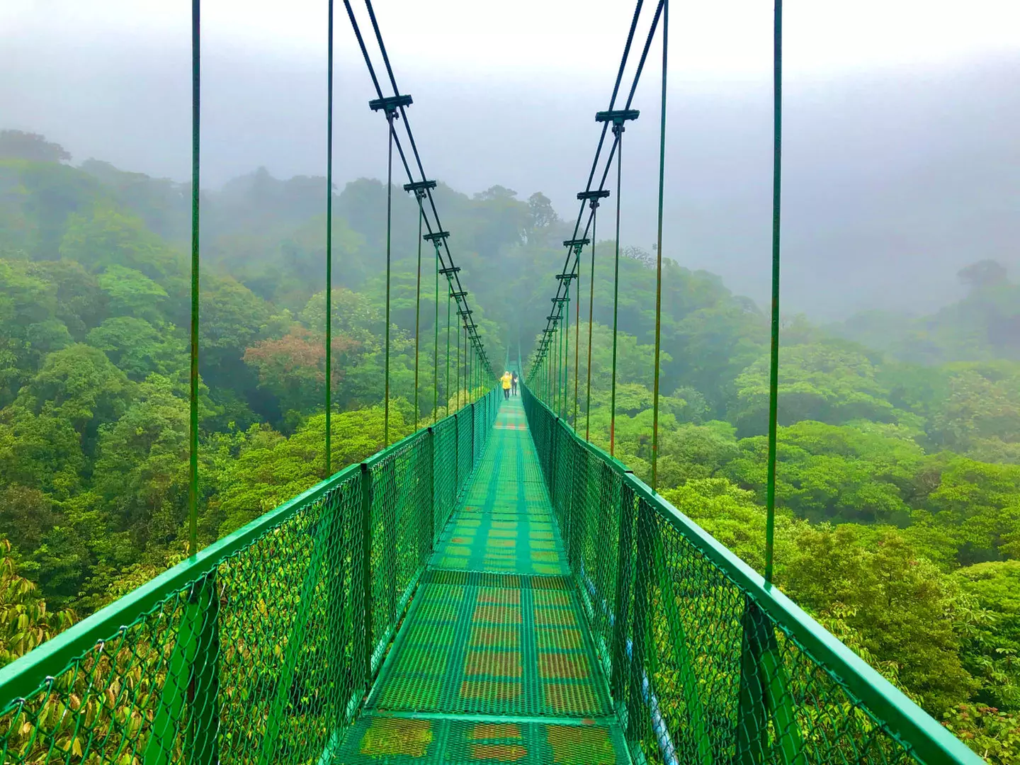 ✈ COSTA RICA | Da San José a Manuel Antonio - Autotour alla scopert...