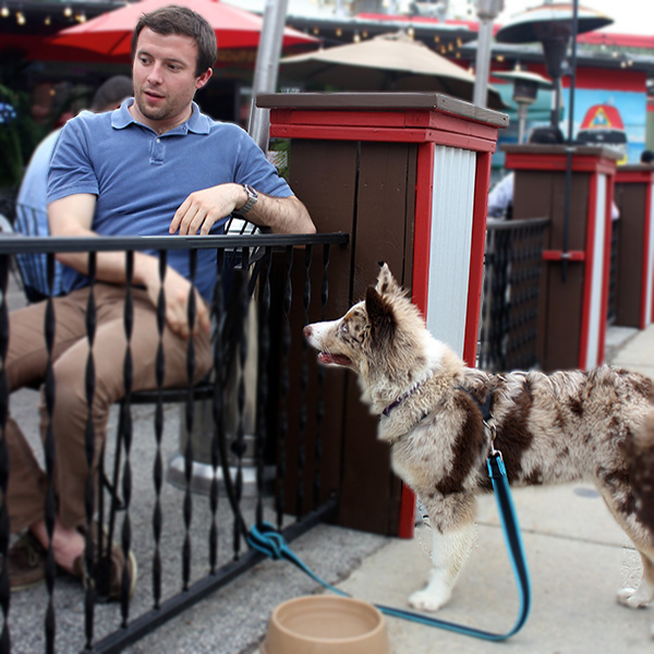 thesevenmostdogfriendlyrestaurantsinchicago_90milesdog_600c600