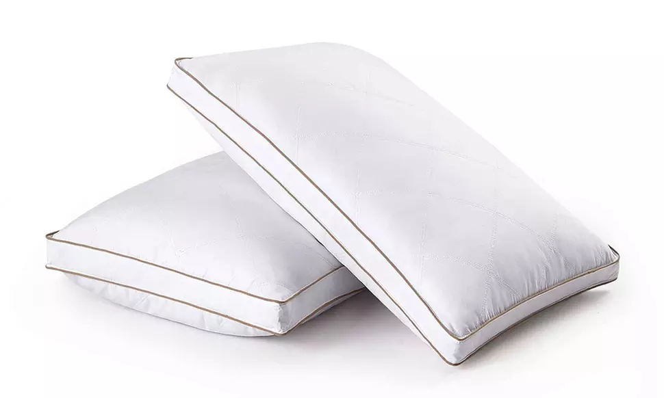 Peace Nest 2 Pack White Goose Feather and Down Pillows - Second Medium