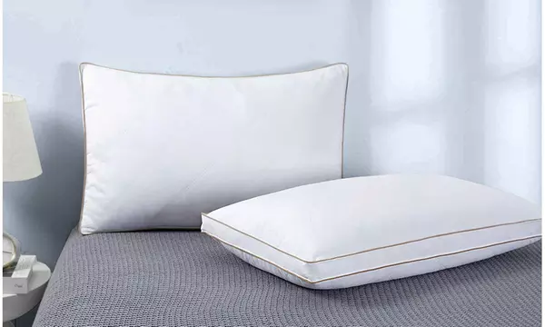 Peace Nest 2 Pack White Goose Feather and Down Pillows - Second Medium