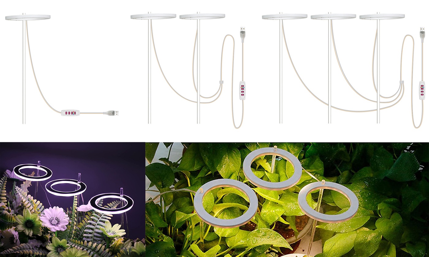Angel Ring Small Grow Lights for Indoor Plants