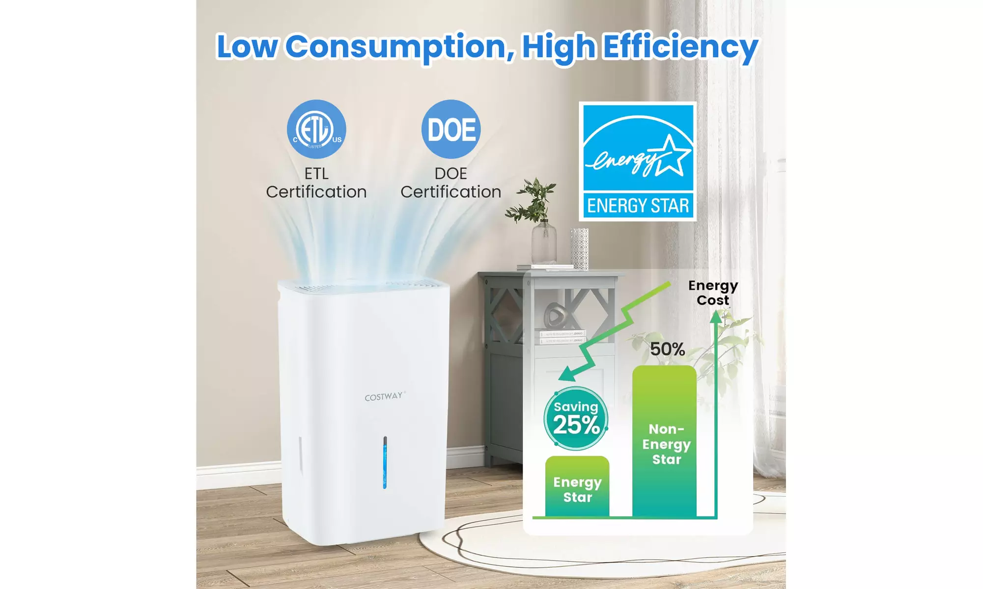 Costway Energy Star Dehumidifier: Eliminate excess moisture