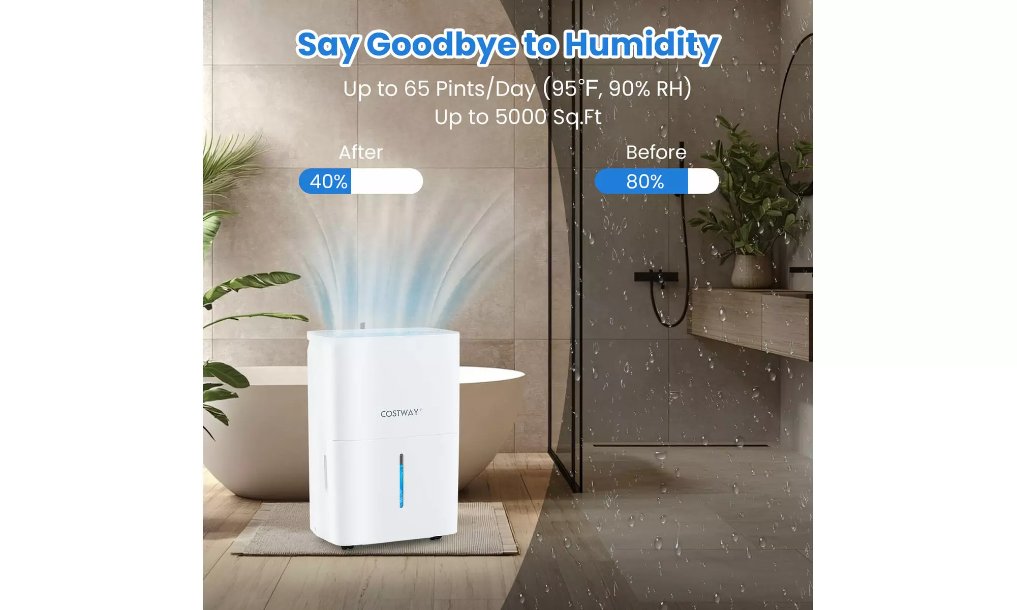 Costway Energy Star Dehumidifier: Eliminate excess moisture