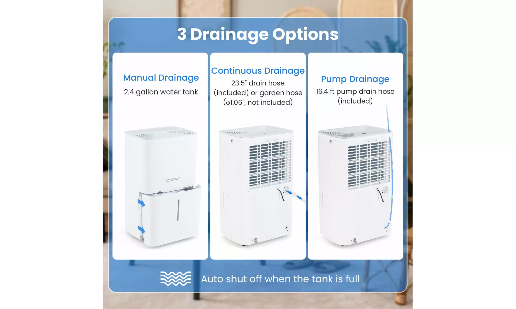 Costway Energy Star Dehumidifier: Eliminate excess moisture