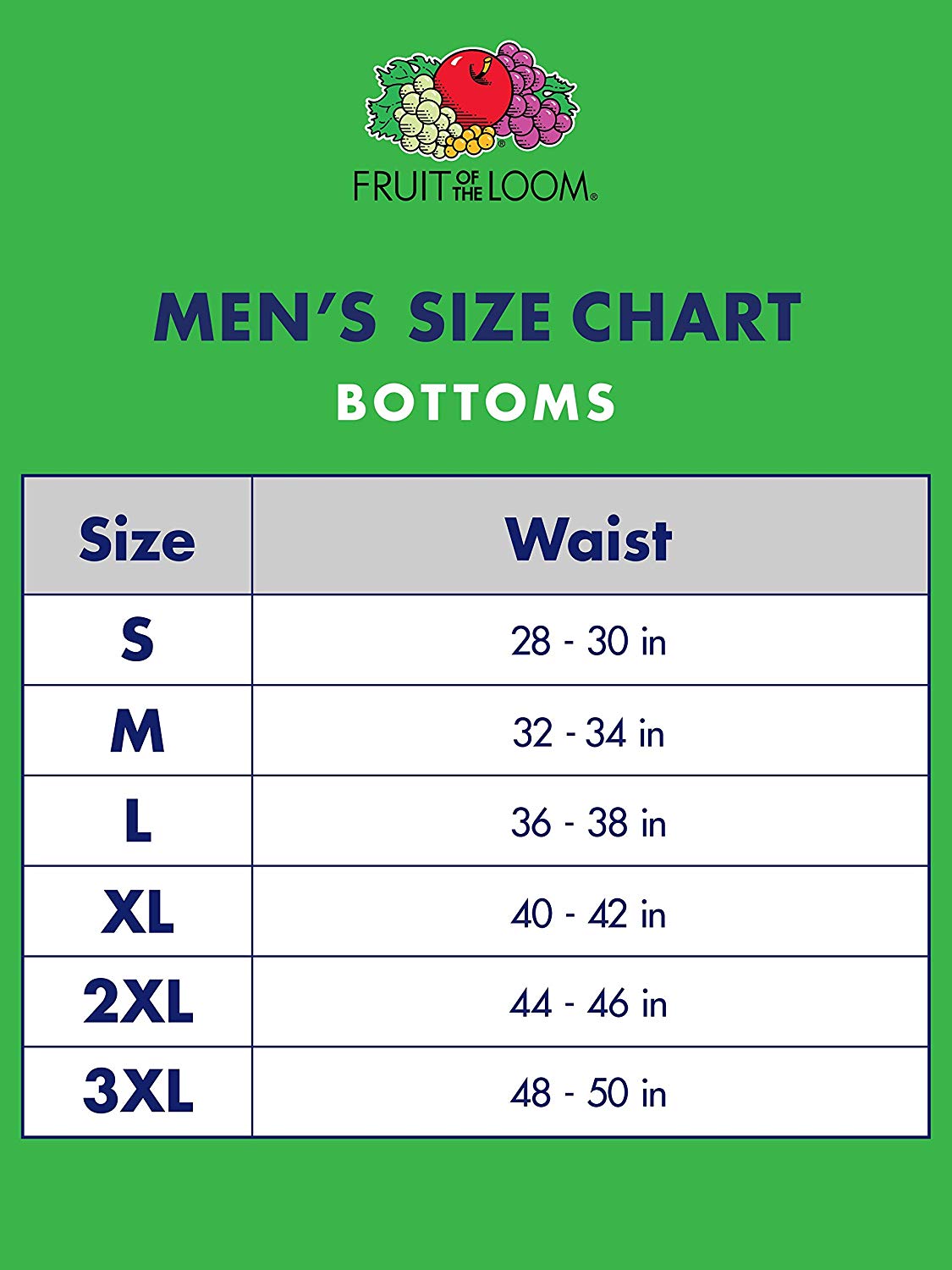 12 Pack Briefs Fruit of the Loom Assorted Men's Mystery Deal (Sizes S-XL)