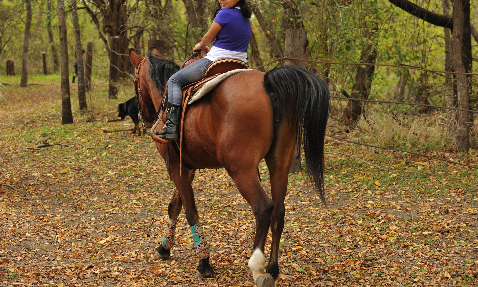 Up to 35% Off on Horse Back Riding at 4 Horse Ranch - Primary Image